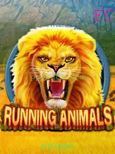 Descubra o Mundo Vibrante de RunningAnimals: Uma Aventura com PPYBET